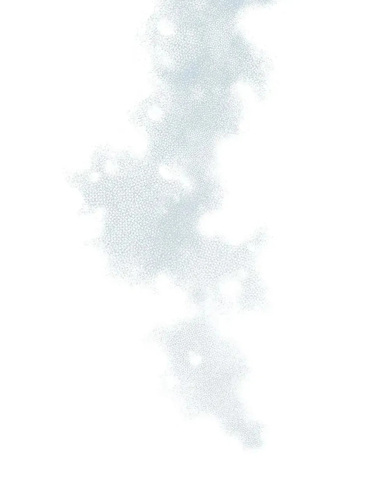 aí vem a colher de prata!! Capitulo 64 Pagina 14