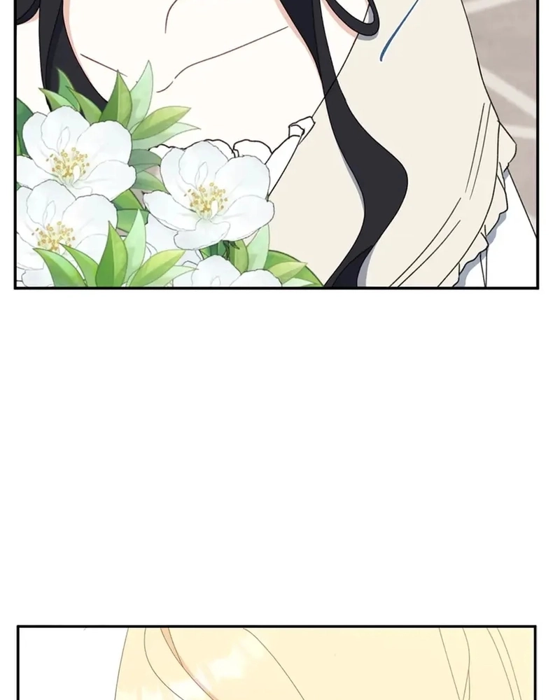 aí vem a colher de prata!! Capitulo 65 Pagina 84