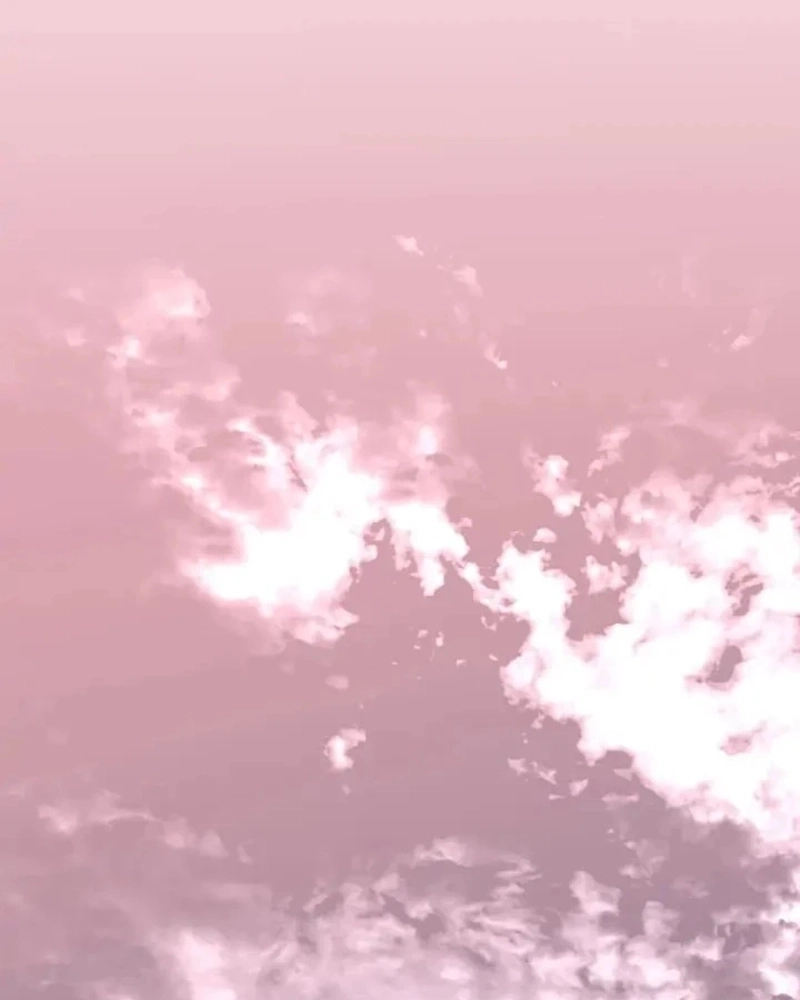 A Vida De Uma Artista De Webtoon Capitulo 11 Pagina 58