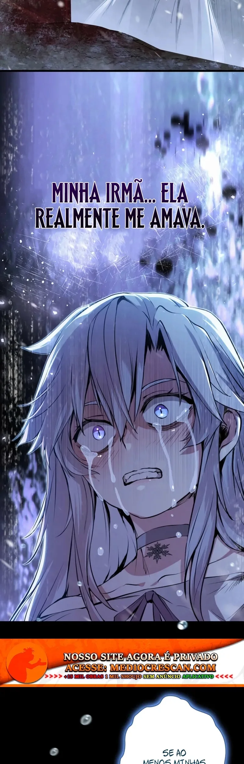 Eu me tornei um ladrão de habilidades Capitulo 25 Pagina 33